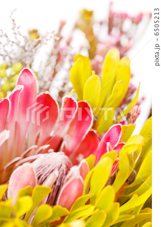 nature background nature background 6505213