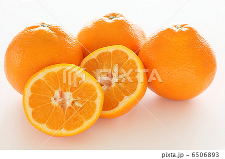 伊予柑 フルーツ カット 伊予柑 フルーツ カット 6506893