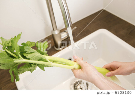 セロリを水道で洗っている女性の手元 セロリを水道で洗っている女性の手元 6508130