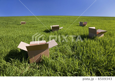 Thinking Outside The Box 6509343