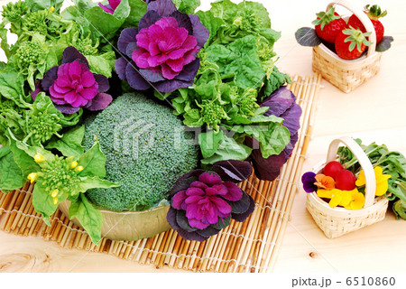 春野菜 6510860