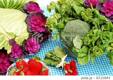 春野菜 6510884