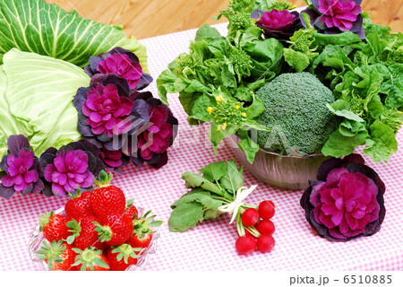 春野菜 6510885