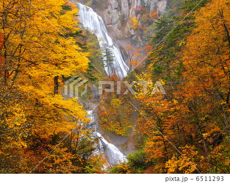 羽衣の滝（紅葉） 6511293