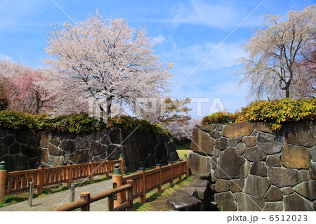 上三川城址公園　石垣と桜－上三川にて 6512023