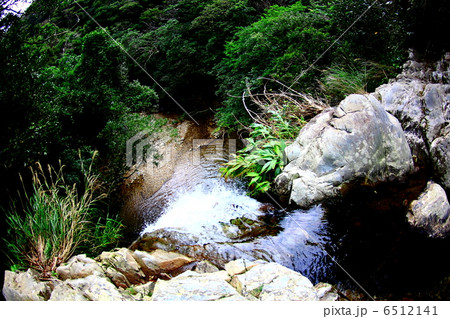 滝の上から見下ろすジャングル 6512141