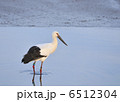 さりげない 6512304