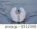撮って 6512306