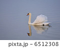 優雅 6512308