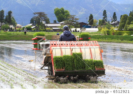 安曇野の田植え風景 6512921