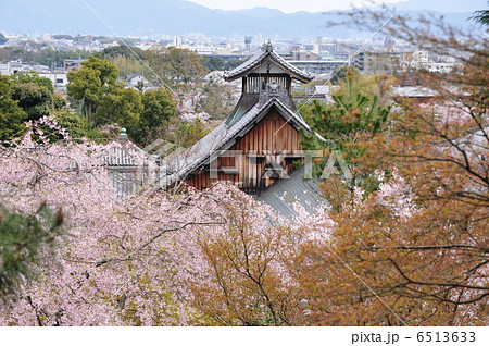 京都 天龍寺の春 京都 天龍寺の春 6513633