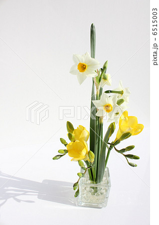 日本水仙とフリージア（縦　右） 6515003