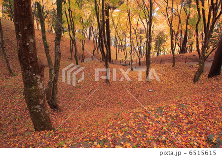 飯盛山の紅葉 6515615