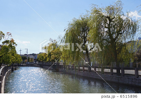 備前堀と秋晴れの青空 水戸市 備前堀と秋晴れの青空 水戸市 6515896