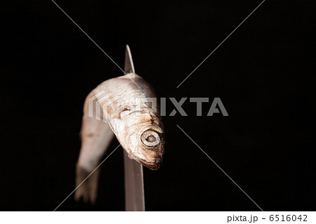dead small fish contorted on knife 6516042