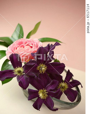 ジュビリーとロマンチカのアレンジ　（縦画像） 6517114