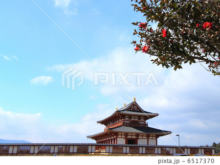 花の平城宮 6517370