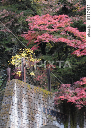 蓬莱山の紅葉 栃木県佐野市佐原 の写真素材