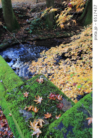 蓬莱山の紅葉 栃木県佐野市佐原 の写真素材