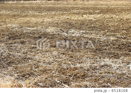 田起こし後の田んぼ 田起こし後の田んぼ 6518108