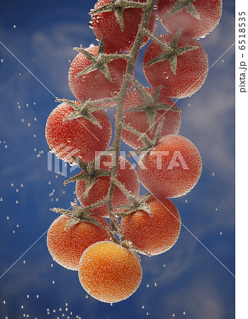 Tomato under water Tomato under water 6518535