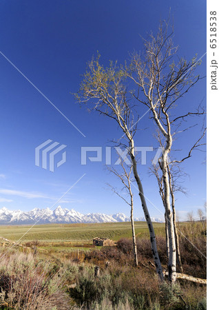 Grand Teton Grand Teton 6518538