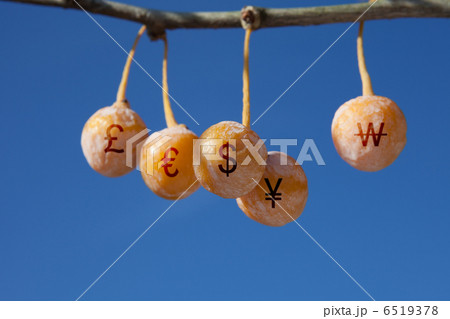 為替 為替 6519378