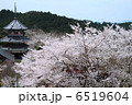 吉野山　1 6519604