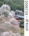 吉野山　2 6519605
