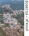 吉野山　5 6519608