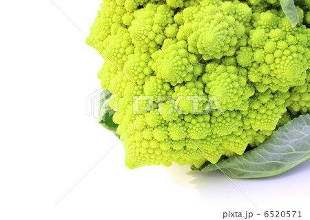 ロマネスコ 6520571