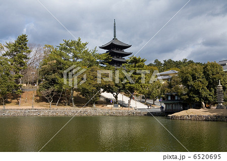奈良 猿沢池 奈良 猿沢池 6520695