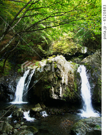 乙女の滝 6520883
