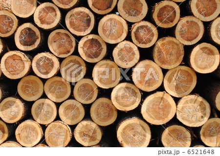 木材 6521648