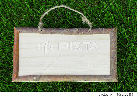 プレート プレート 6521684