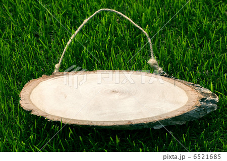 プレート 6521685