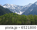 新緑と穂高 6521800
