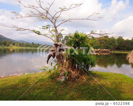 フエイトゥンターオ 6522398