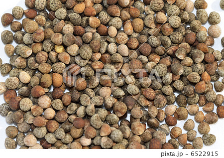 エゴマの種 6522915