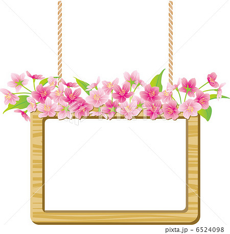 桜 桜 6524098
