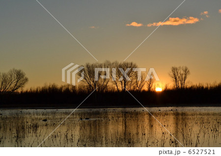 日の出 日の出 6527521