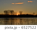 日の出 6527522