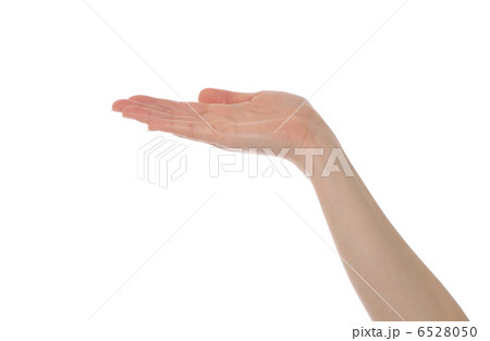 手 手 6528050