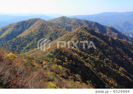 松木渓谷 6529994