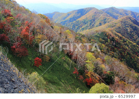 松木渓谷 6529997