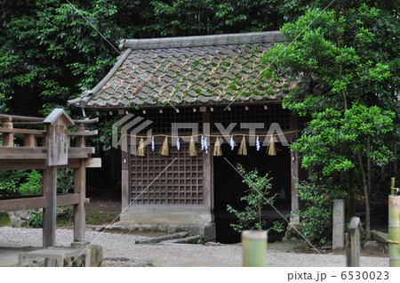 世界文化遺産　宇治上神社 6530023