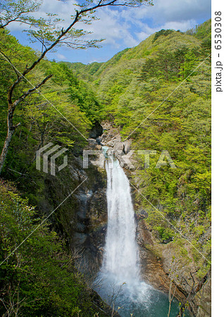 秋保大滝(宮城県仙台市) 秋保大滝(宮城県仙台市) 6530308