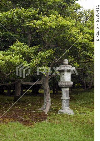 仙洞御所　南池の石灯籠 6530411