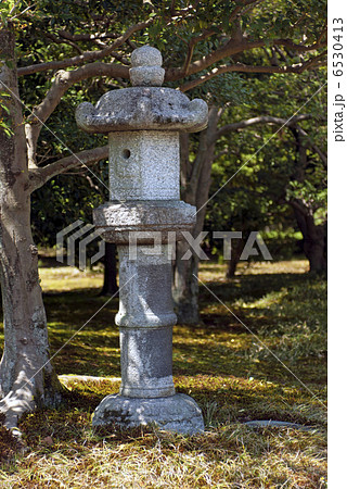 仙洞御所　南池の石灯籠 6530413