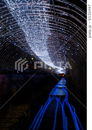 京の七夕　光の天の川 6530497